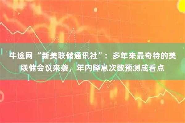 牛途网 “新美联储通讯社”：多年来最奇特的美联储会议来袭，年内降息次数预测成看点