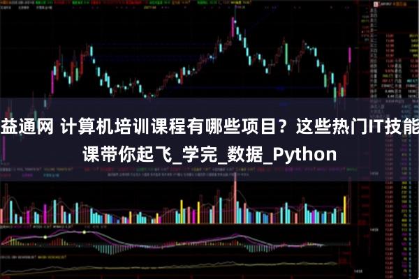 益通网 计算机培训课程有哪些项目？这些热门IT技能课带你起飞_学完_数据_Python