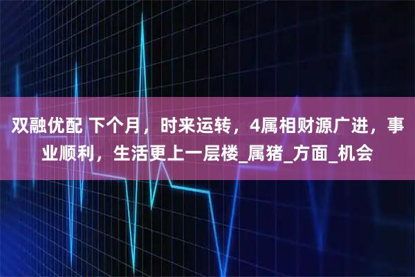 双融优配 下个月，时来运转，4属相财源广进，事业顺利，生活更上一层楼_属猪_方面_机会